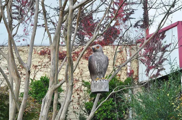 Lifelike Hawk Decoy — alternate product view 5