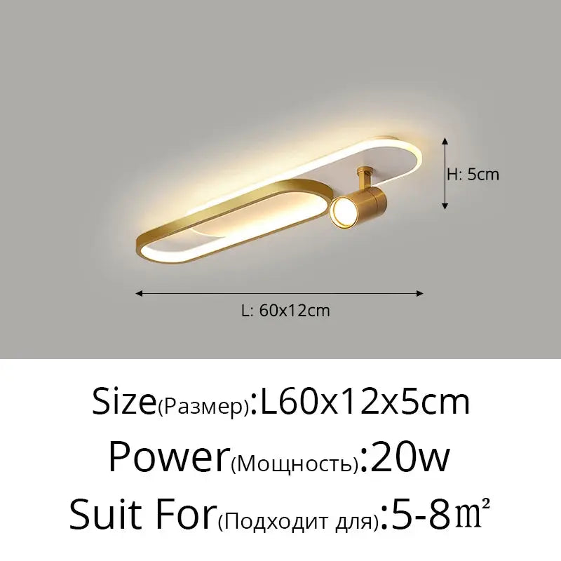 Ceiling Lights With Spotlight — alternate product view 14