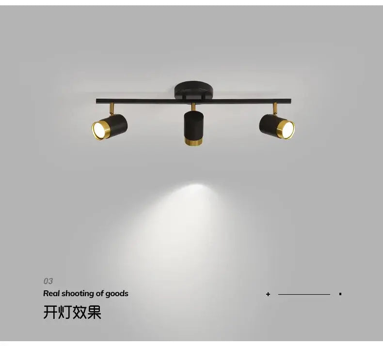 Rail Track Lighting — alternate product view 12