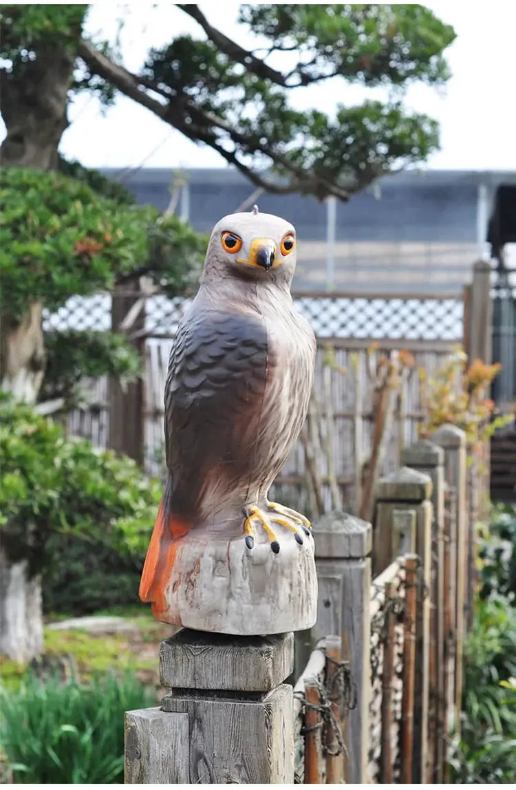 Lifelike Hawk Decoy — alternate product view 4